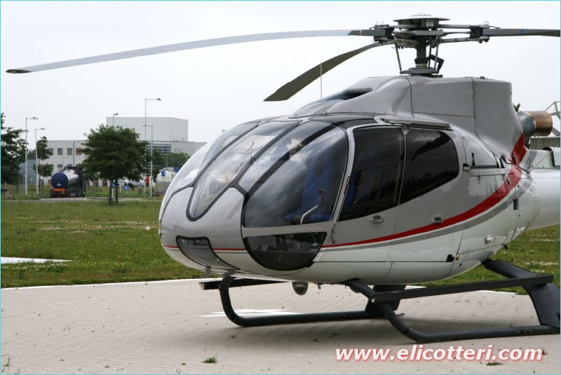 elifoto (135)